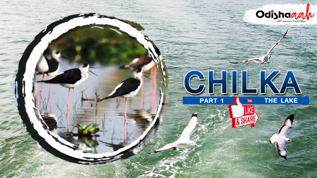 Chilika Lake - Asia's largest brackish water lagoon