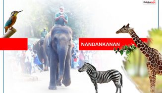 New Arrivals at Nandankanan Zoo in recent years